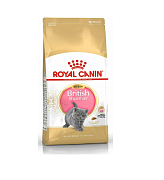 Сухой корм для кошек Royal Canin British Shorthair Kitten, для британцев, для котят, 10 кг